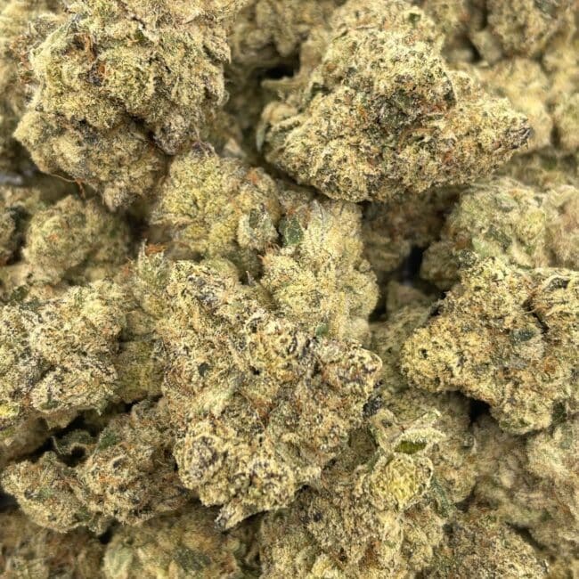 AAA Indica