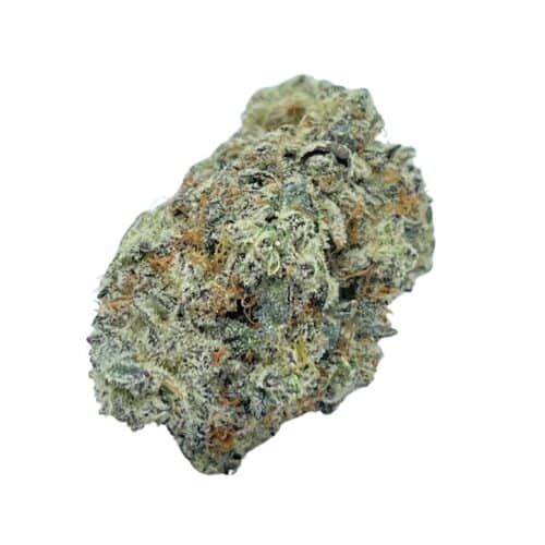 Fruit Loops Sativa