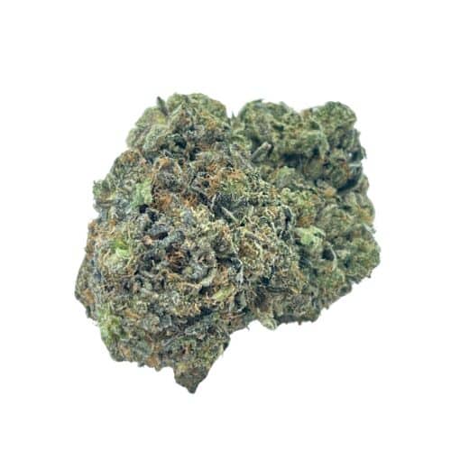 Blue Maui Wax