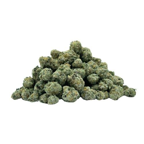  AAA Hybrid Flower