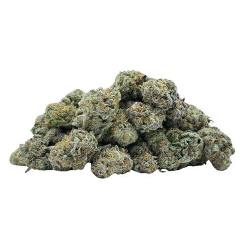  AAA Hybrid Flower