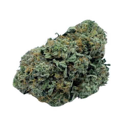 Blackberry Kush AAA