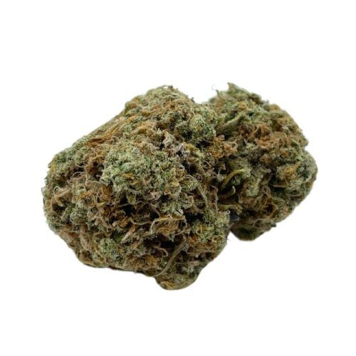 Super Skunk Sativa