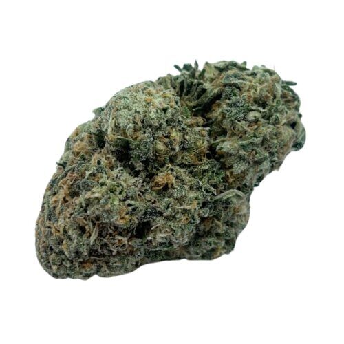 Sonic Sativa