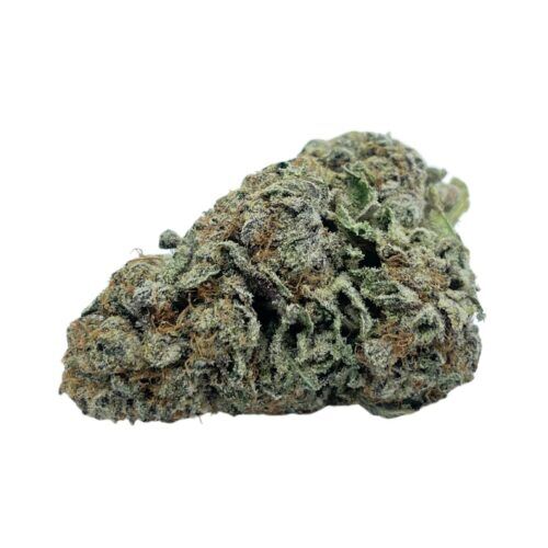 Hollywood OG Bulk