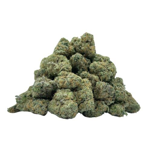 Chocolope Kush