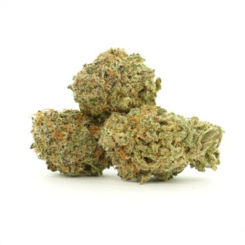 Super Pink Indica