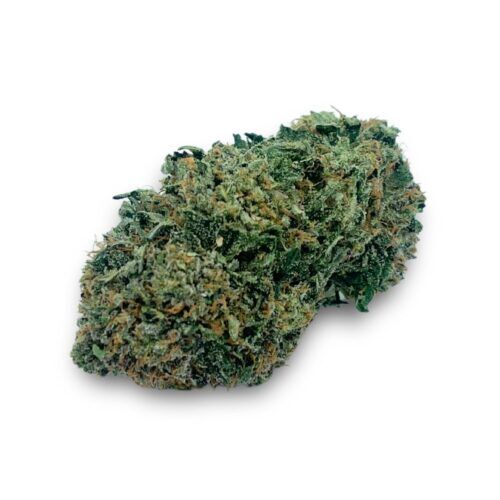 Pink Indica Bulk