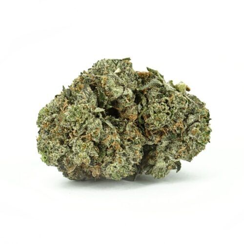 Pink Gorilla Indica