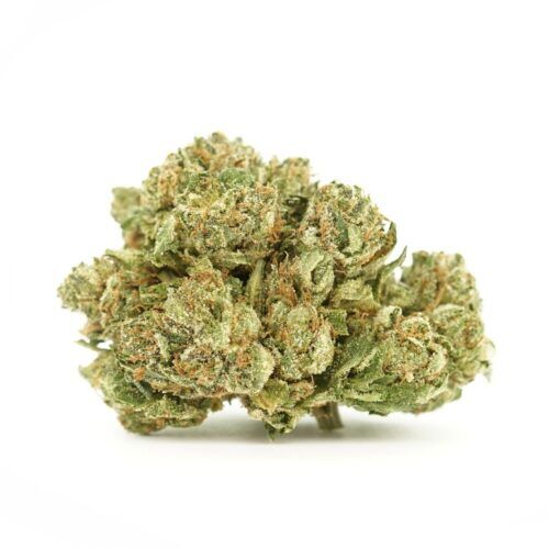 El Chapo Indica