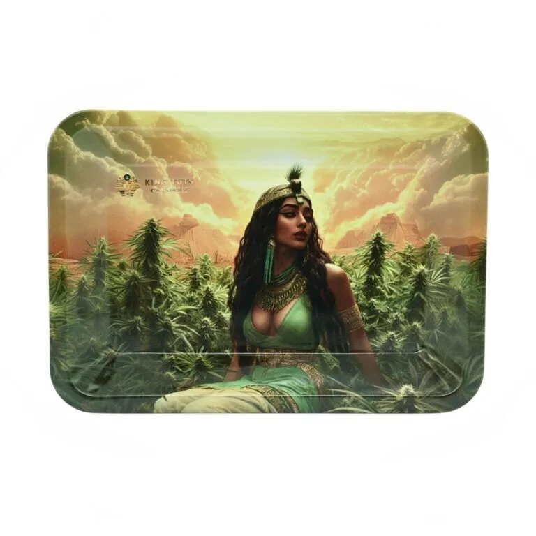 SCUBA KT Tray