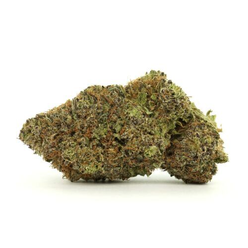 Jealousy Sativa