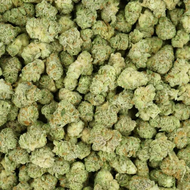 28gr- PLATINUM KUSH BREATH (MICROS) - INDICA - (AAA) - Image 3