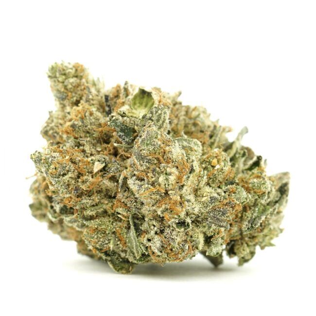 Pine Tar Kush