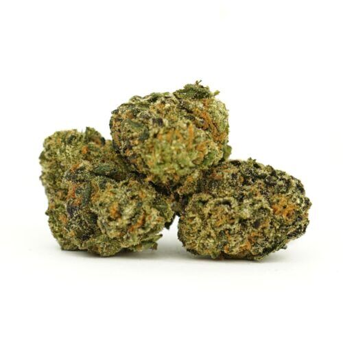 Purple Punch Indica
