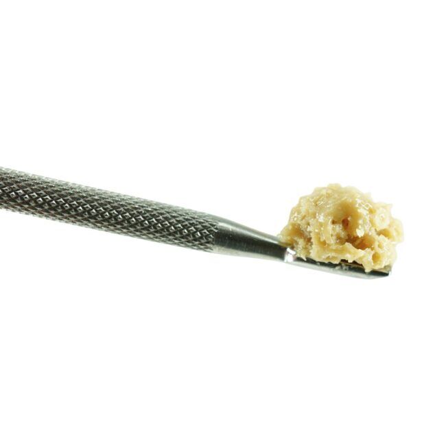 2gr - TAR MONSTER (LIVE ROSIN) - INDICA - (AAAA)