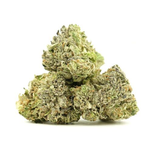  AAA Indica