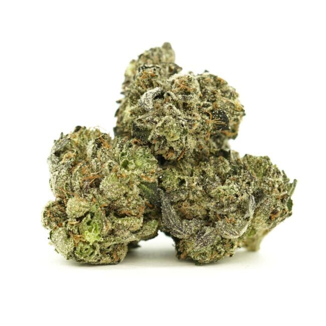 Sunny D Sugar Wax