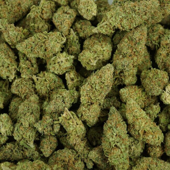 28gr - LEMON TART - SATIVA - (AAA) - Image 3