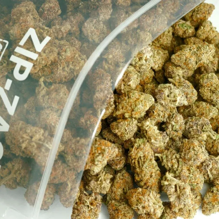 pp mimosa bulk
