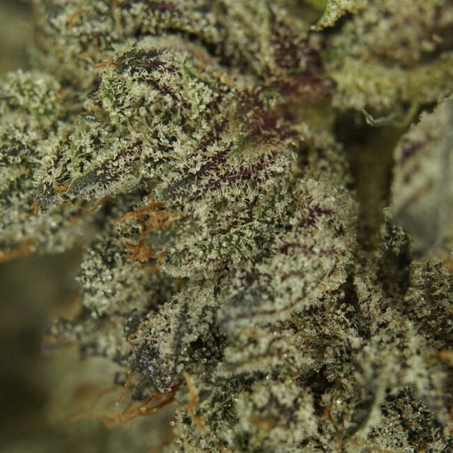 7gr - PINK COOKIES - INDICA - (AAAA) - Image 2