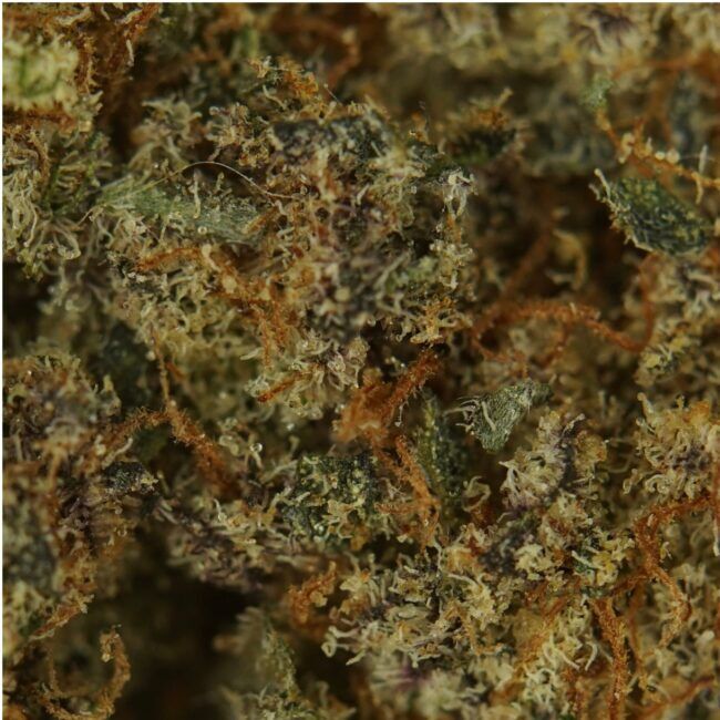 28gr - CHERRY MAC - BALANCED HYBRID - (AAA) - Image 3