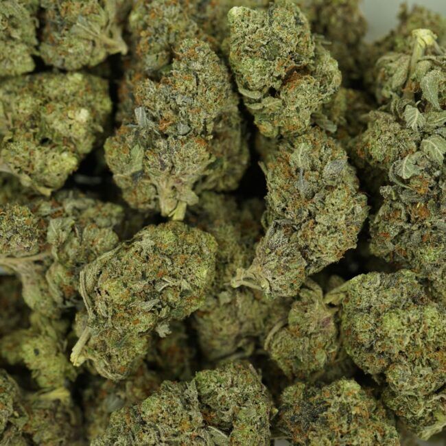 28gr - MASTER KUSH ULTRA - BALANCED HYBRID - (AAA) - Image 3