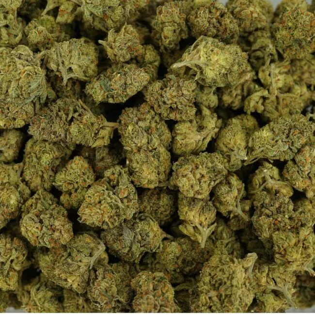 28gr - SPACE CANDY - BALANCED HYBRID - (AAA) - Image 3