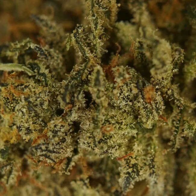 28gr - SPACE CANDY - BALANCED HYBRID - (AAA) - Image 2