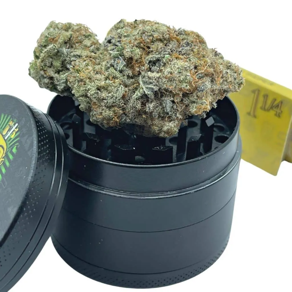 mac 1 strain