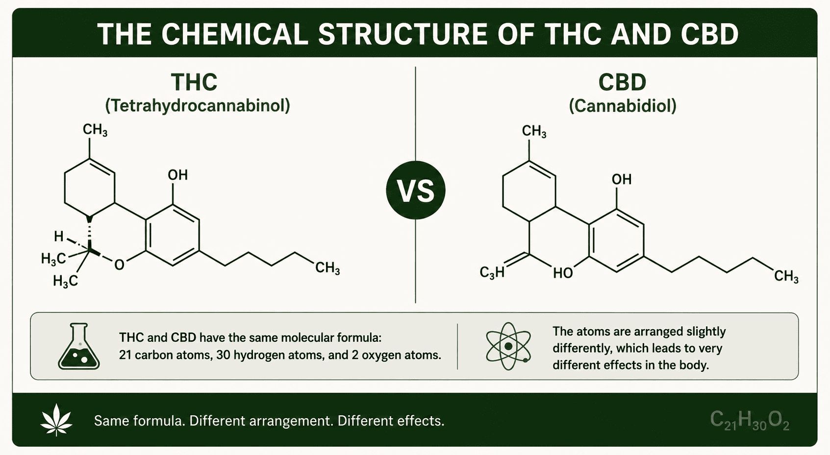 THC and CBD chemical structure comparison infographic showing molecular differences and cannabinoid formulas.
