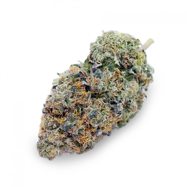 Durban-Poison-AAA-FL