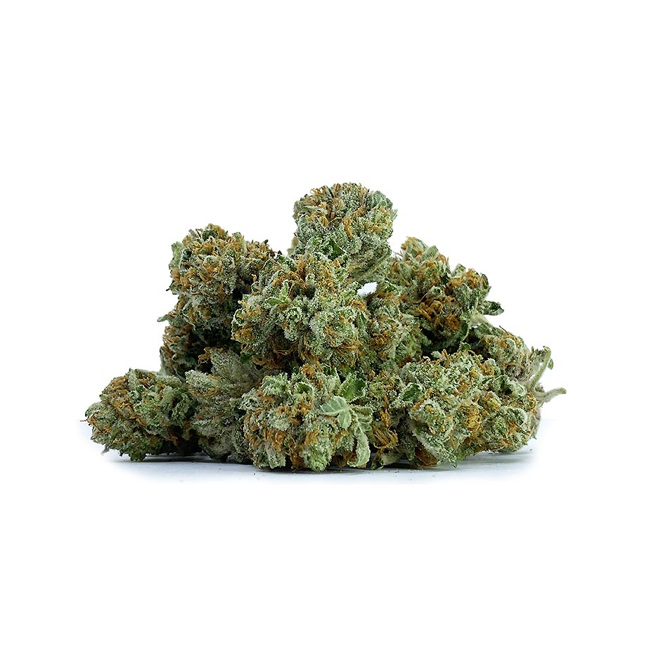 GREASE MONKEY (SMALLS) INDICA (AAA) King Tuts