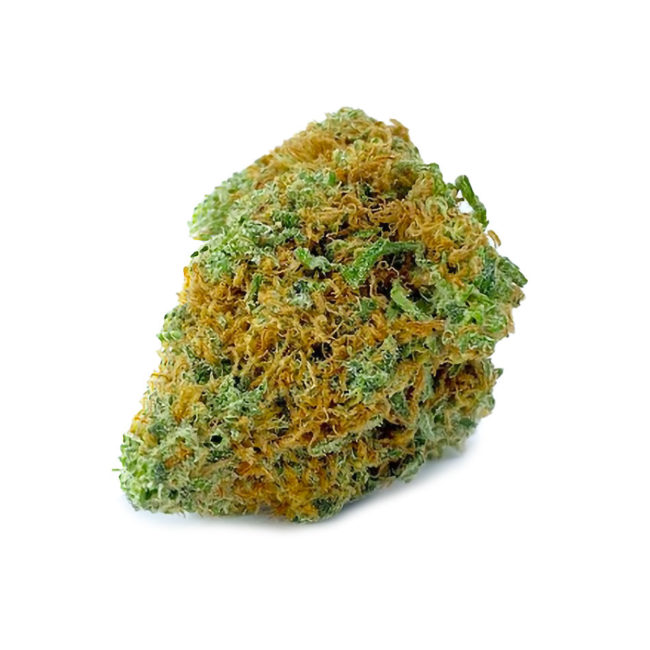 MASTER KUSH - INDICA - (AAA)