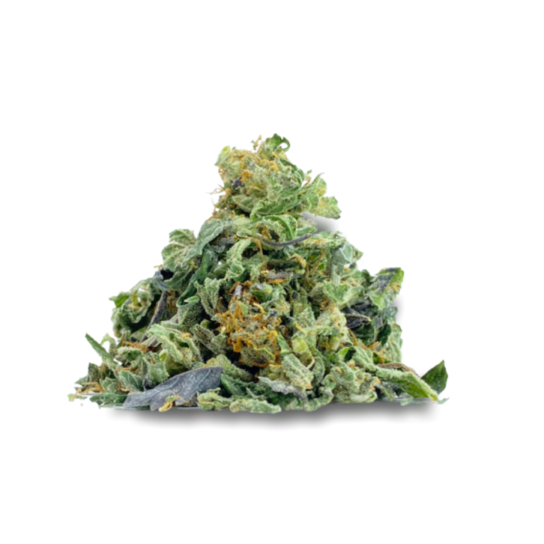 kingtuts-grand-master-trim