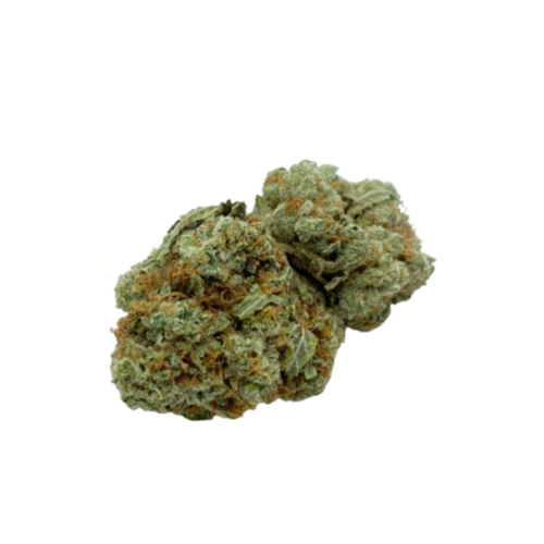 KINGTUTS CHOCOLOPE KUSH