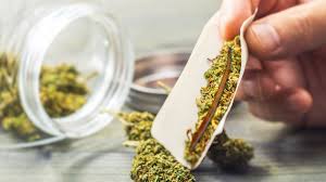Hand rolling an extract infused cannabis joint with premium flower.