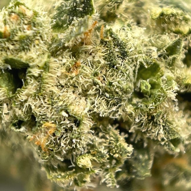 PURPLE ENVY (SMALLS) - INDICA - (AAA) - Image 2