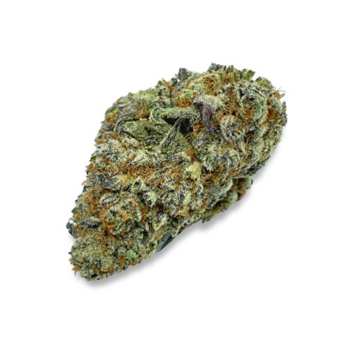 CHIMERA - INDICA - (AAAA)