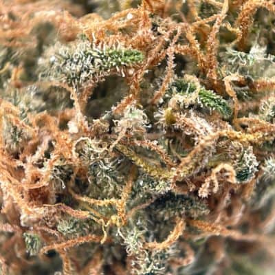 Marijuana Flowers | King Tuts Cannabis Canada | Buy Now