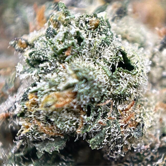 28gr - ICE CREAM ZUNDAE - BALANCED HYBRID - (AAA) - Image 2