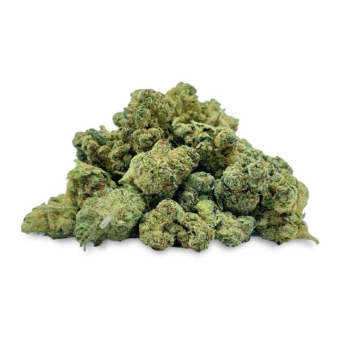 LEGENDARY PUNCH (SMALLS) - INDICA - (AA)