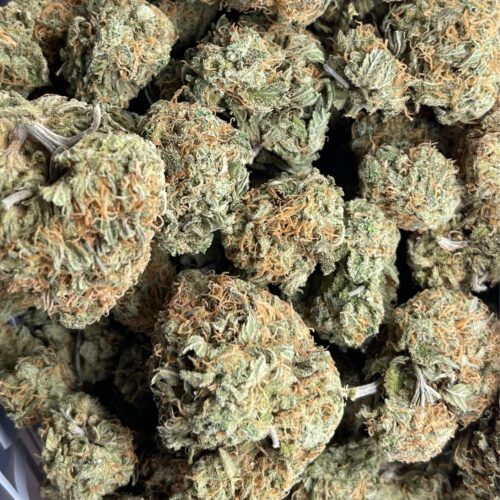 1/2p - CHEESE (BULK) - INDICA (AAA)