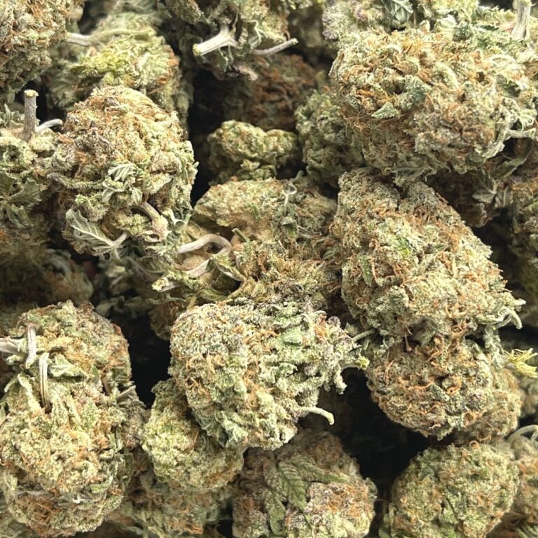 pp PINK berry2