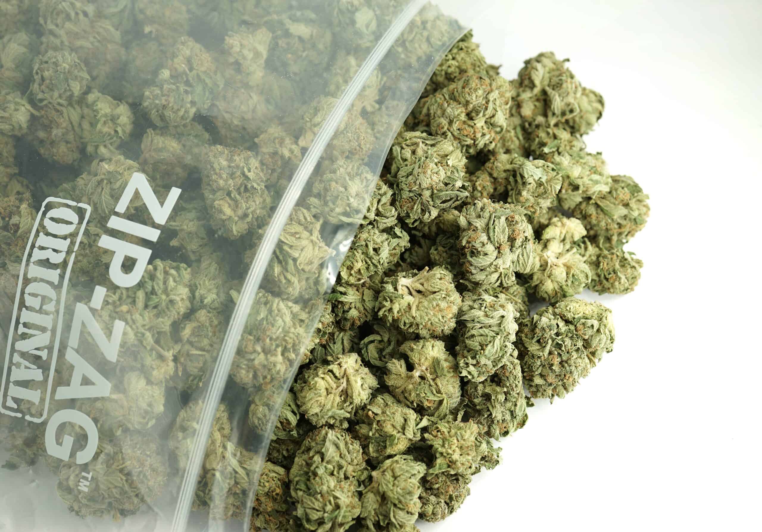 1/2p - JELLY BREATH (BULK) - INDICA - (AAA)
