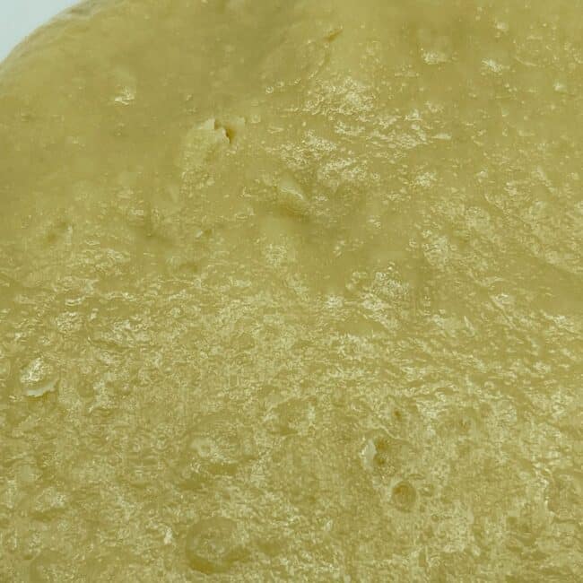 7gr - BOYSENBERRY (BUDDER) - BALANCED HYBRID - (AAA) - Image 2