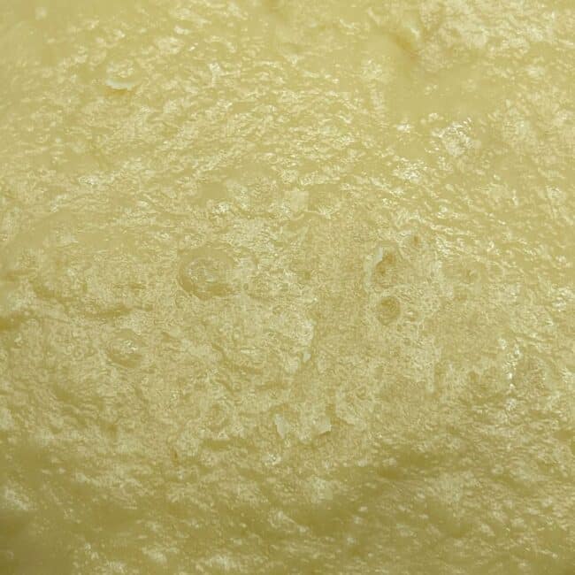 7gr - BOYSENBERRY (BUDDER) - BALANCED HYBRID - (AAA) - Image 3