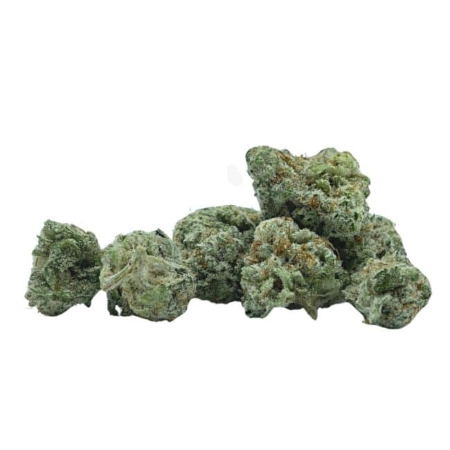 28gr - MAC DONUTS (SMALLS) - BALANCED HYBRID - (AAA) - Image 2