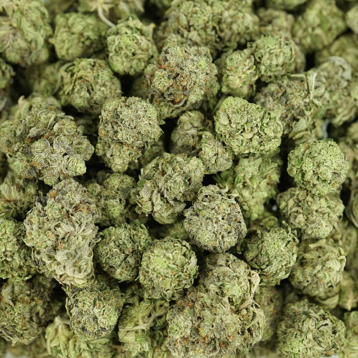 AA Bubblegum