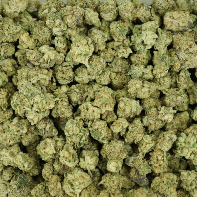 pp gg4 smalls full